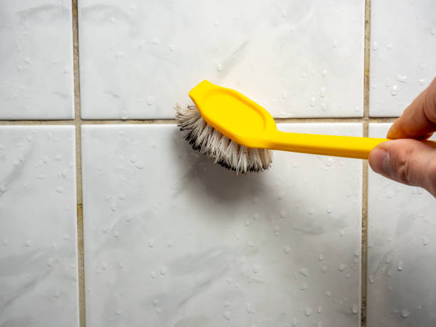 Office Mold Removal Services in Mount Morris, IL